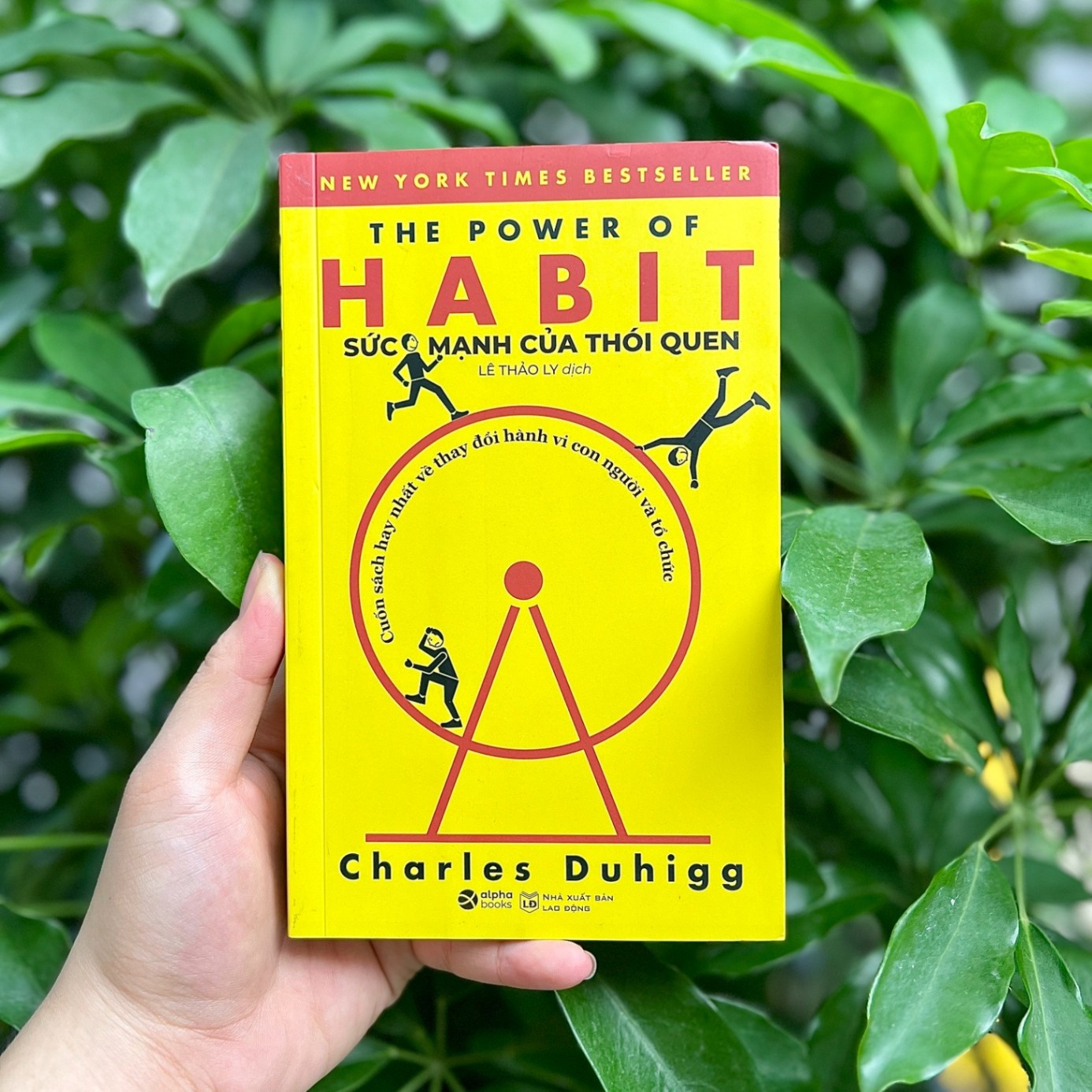 Sức Mạnh Của Thói Quen - The Power of Habit - Hình 2