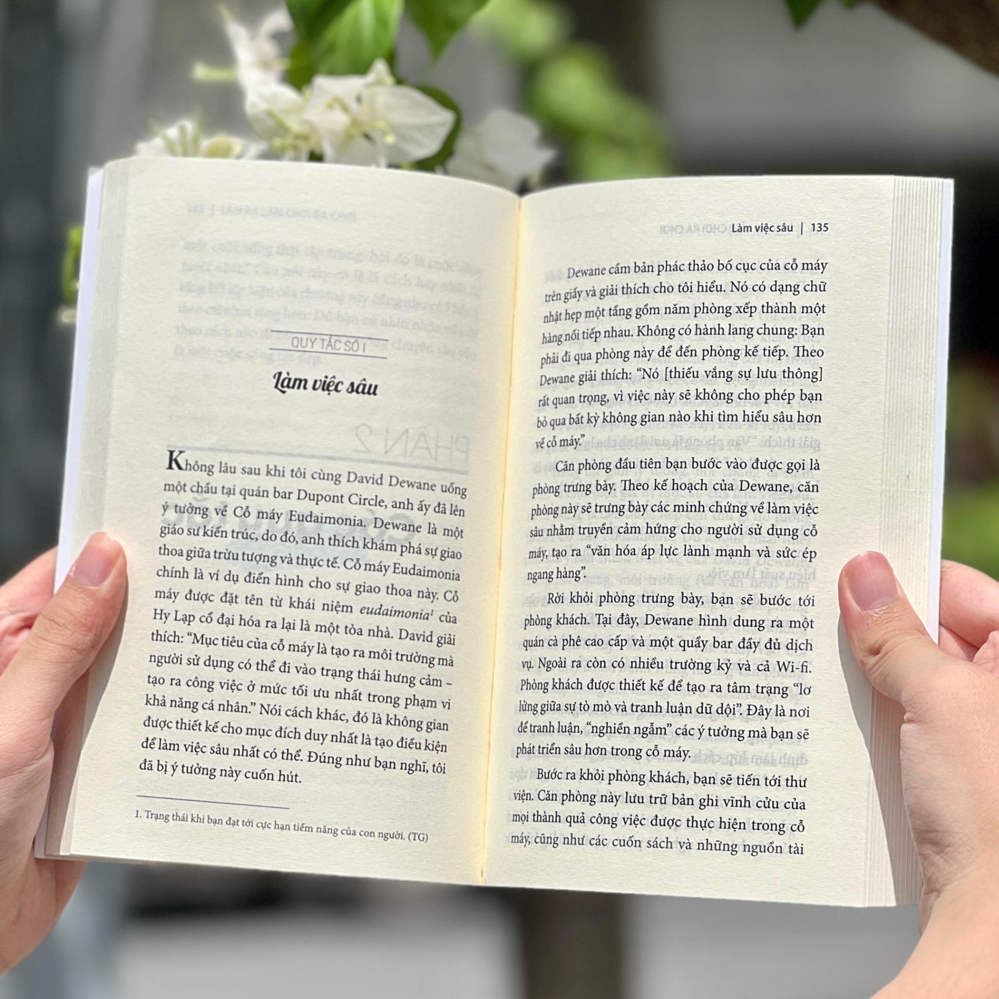 Động Lực Chèo Lái Hành Vi - Hình 4